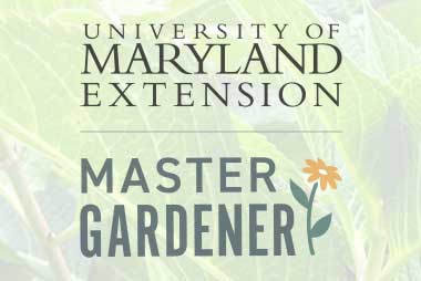 Master Gardener Thumbnail